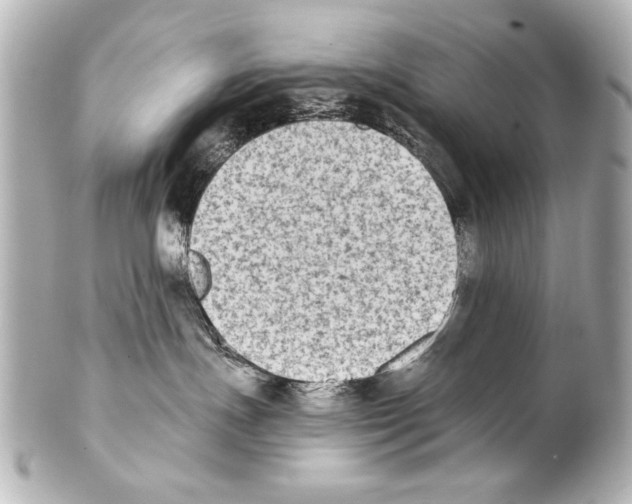 X0000101460191200808041051