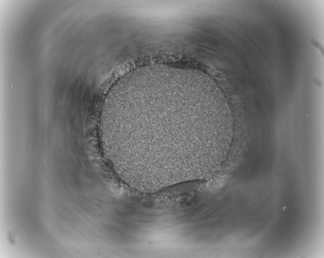 X0000101460192200808041051