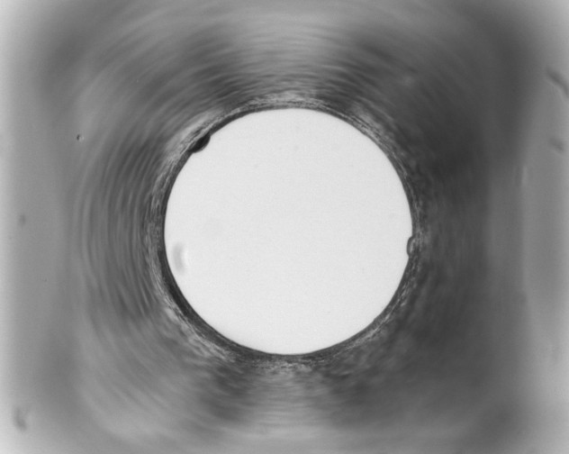 X0000101460193200808041050