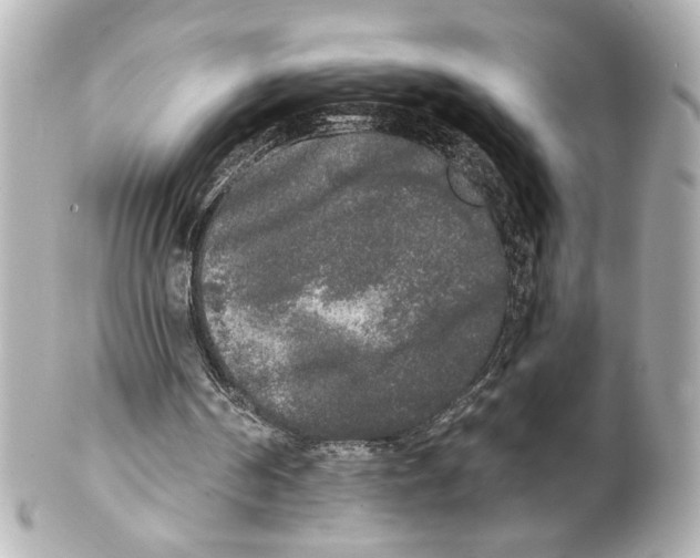 X0000101460194200808041050