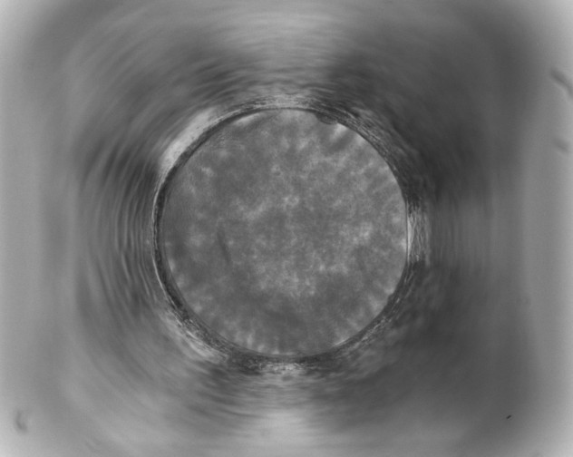 X0000101460195200808041050