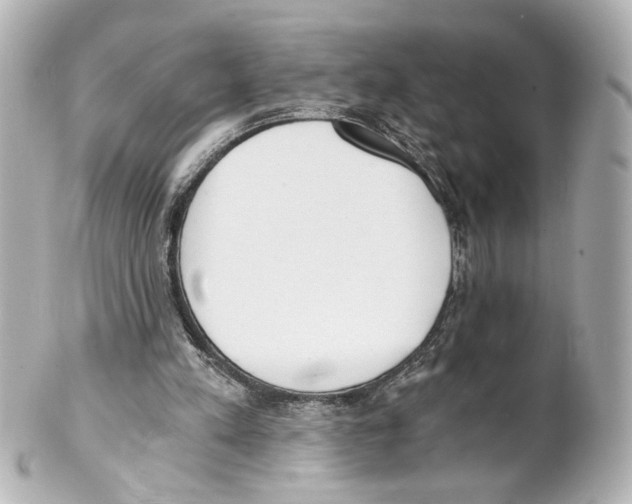 X0000101460197200808041050