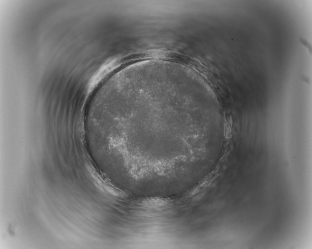 X0000101460198200808041050