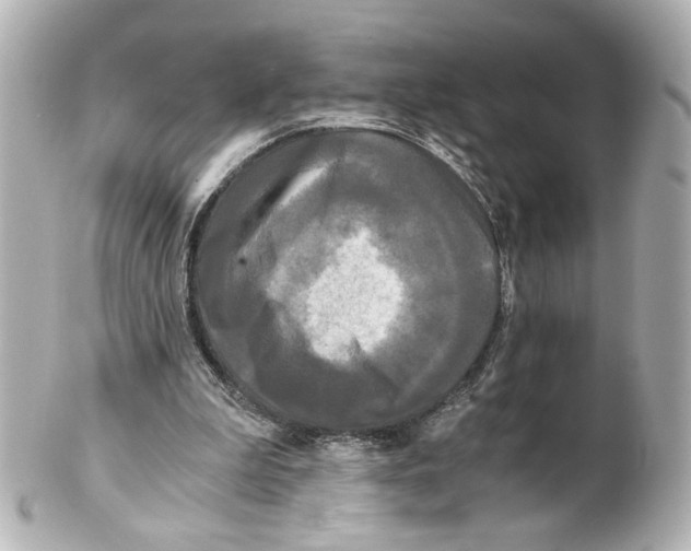 X0000101460199200808041050