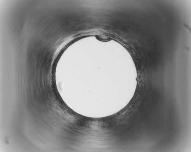 X0000101460200200808041050