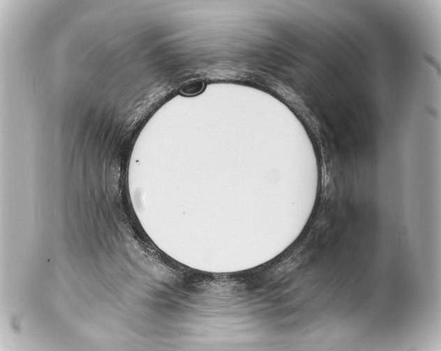 X0000101460201200808041050