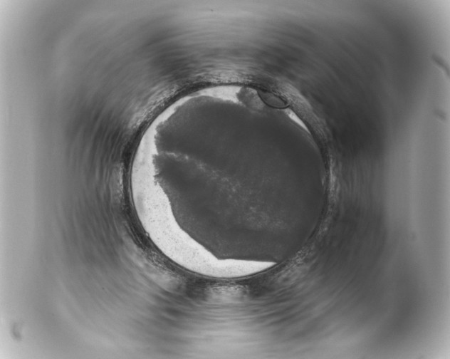 X0000101460202200808041050