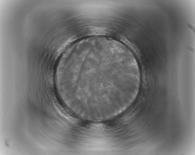X0000101460203200808041050