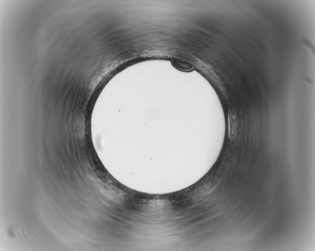 X0000101460204200808041050