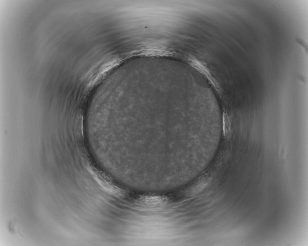 X0000101460205200808041050