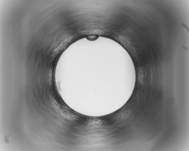 X0000101460206200808041050