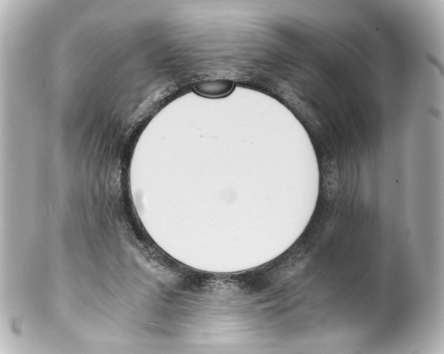 X0000101460207200808041050