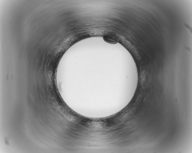 X0000101460209200808041050