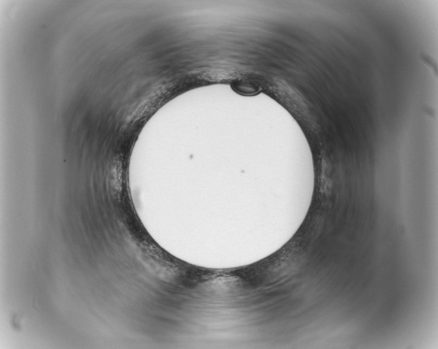 X0000101460210200808041050