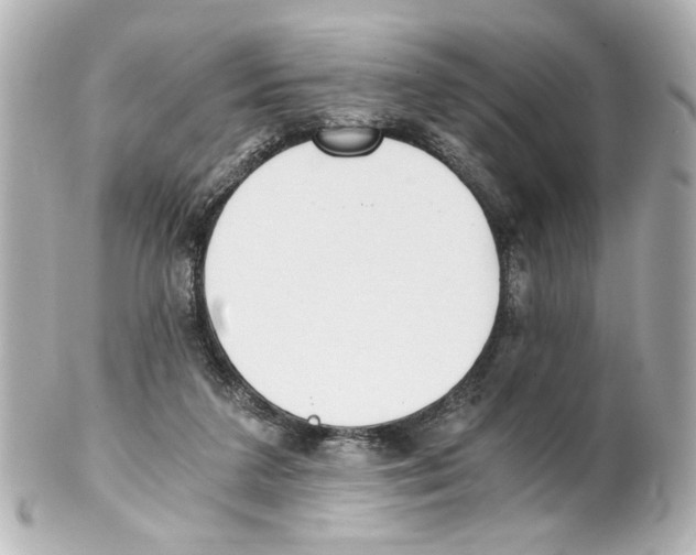 X0000101460211200808041050