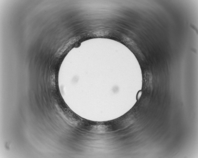 X0000101460212200808041050