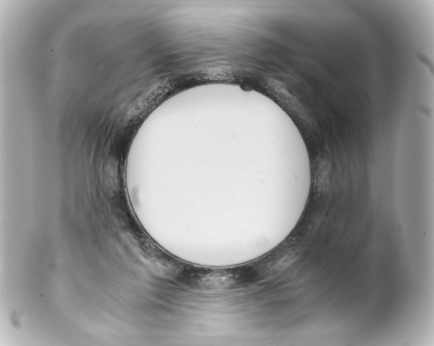 X0000101460213200808041050