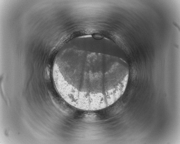 X0000101460214200808041050