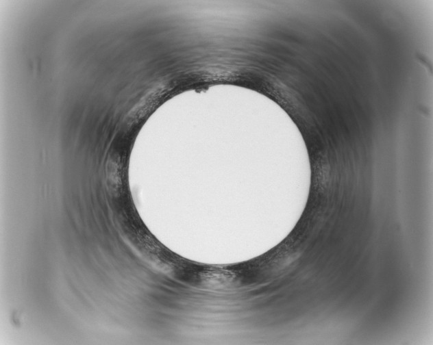 X0000101460215200808041050