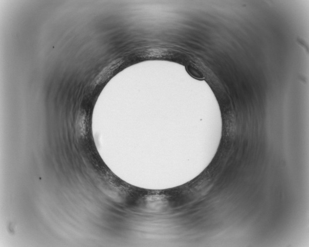 X0000101460216200808041050