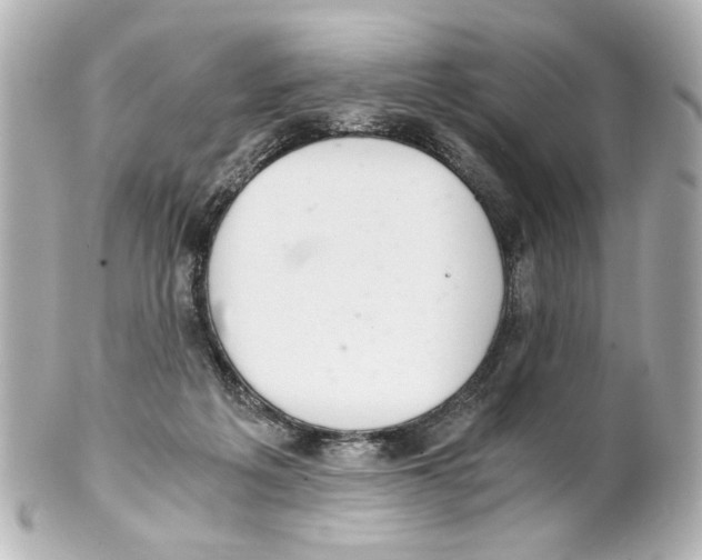 X0000101460217200808041049