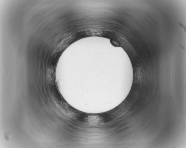 X0000101460218200808041049