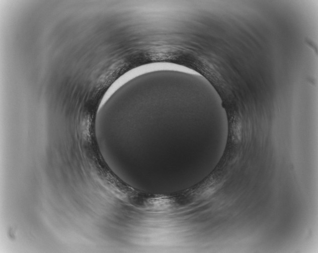 X0000101460219200808041049