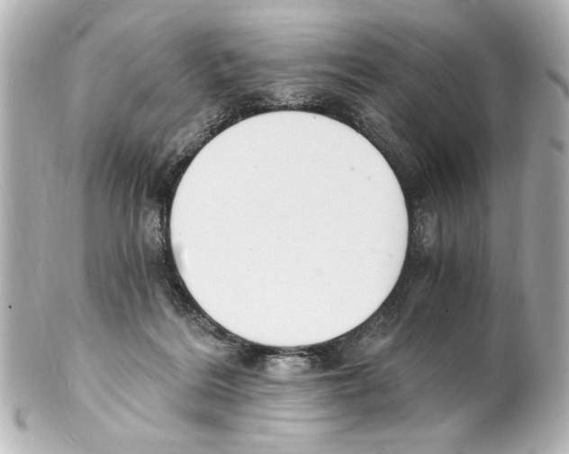 X0000101460220200808041049