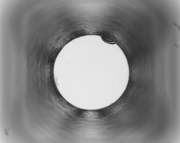 X0000101460221200808041049