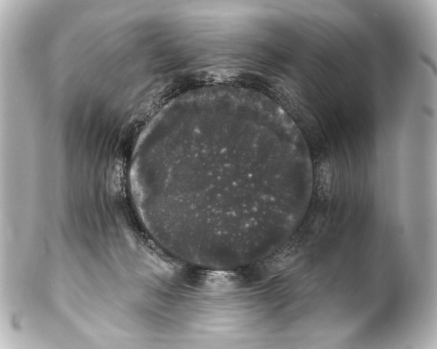 X0000101460222200808041049