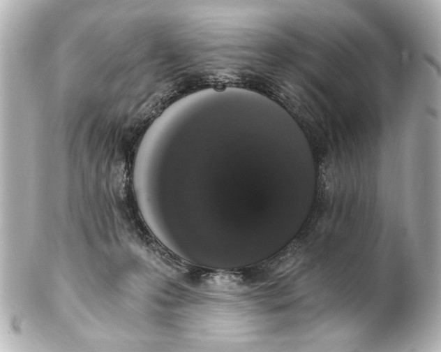 X0000101460223200808041049