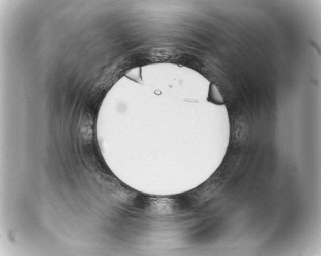 X0000101460226200808041049