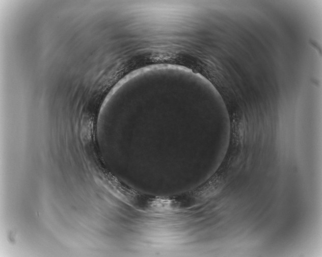X0000101460227200808041049
