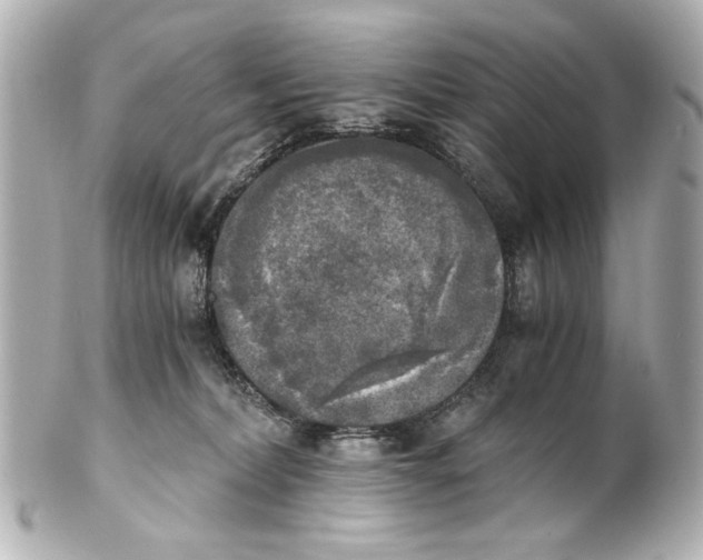 X0000101460228200808041049