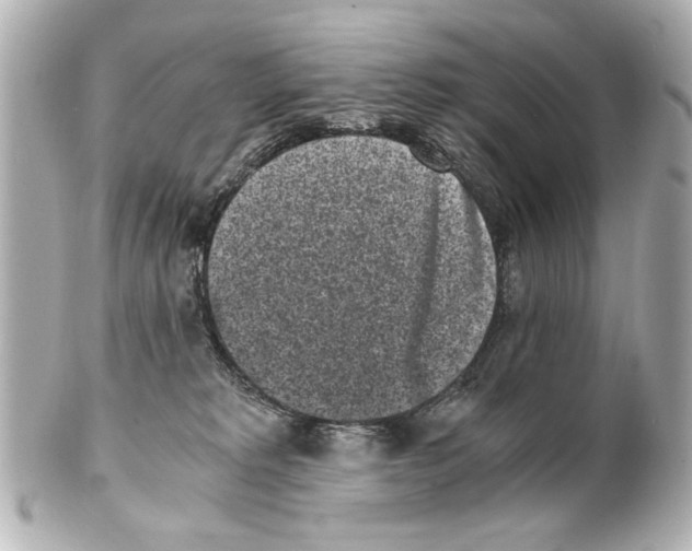 X0000101460229200808041049