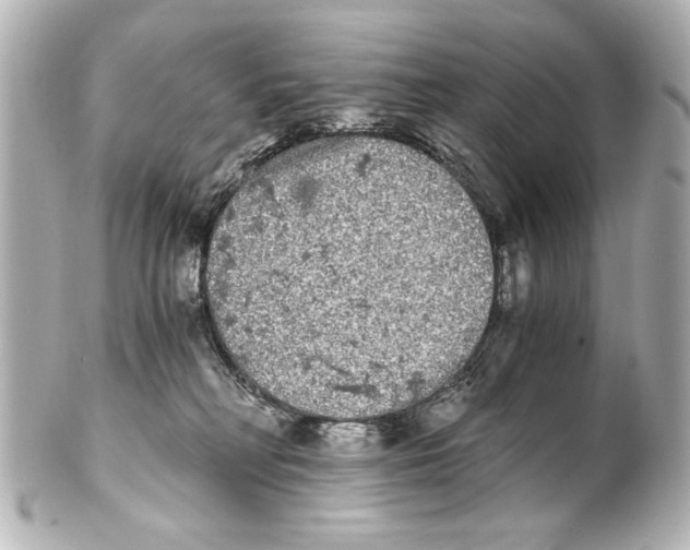 X0000101460230200808041049