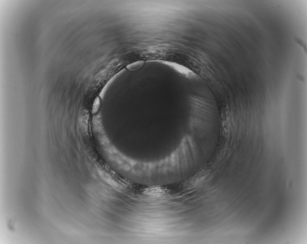 X0000101460231200808041049