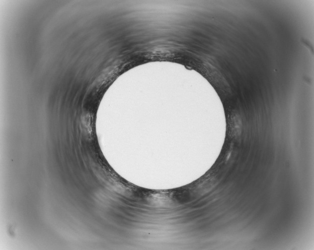 X0000101460232200808041049