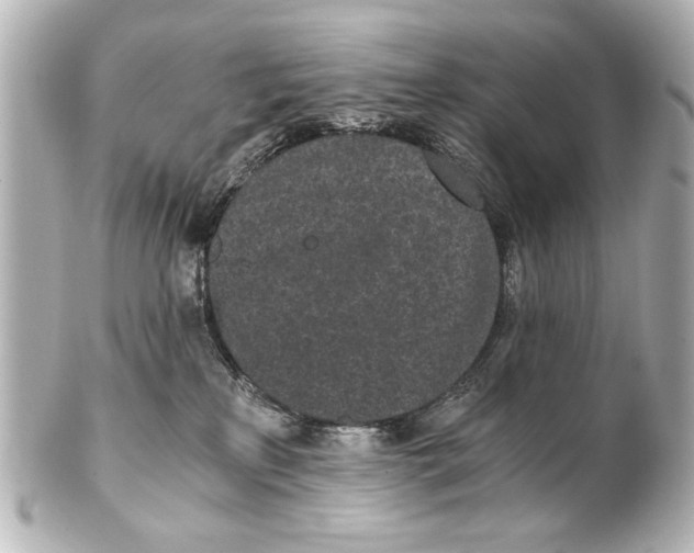 X0000101460233200808041049