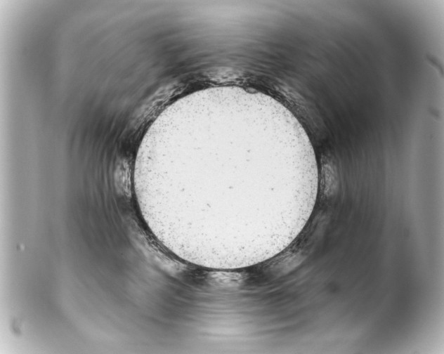 X0000101460234200808041049