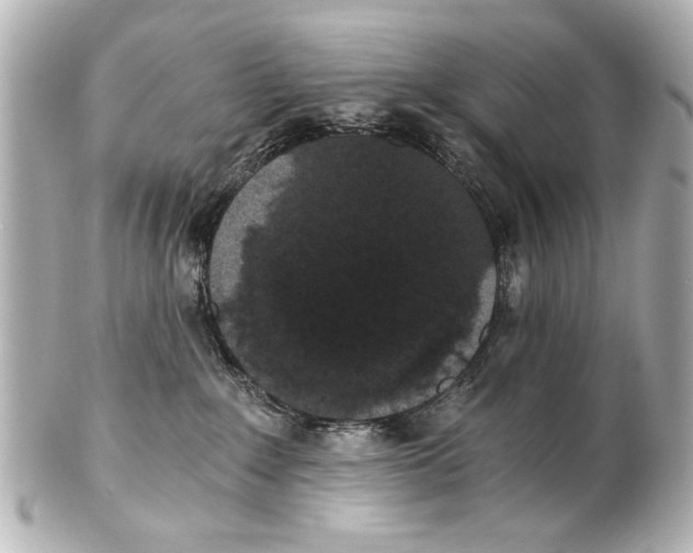 X0000101460235200808041049