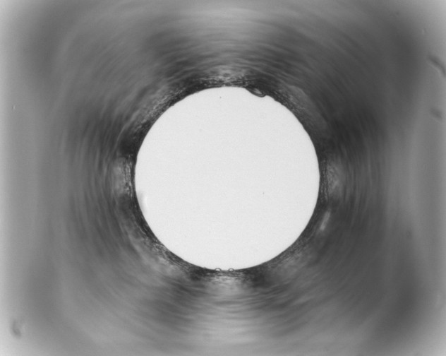 X0000101460236200808041049