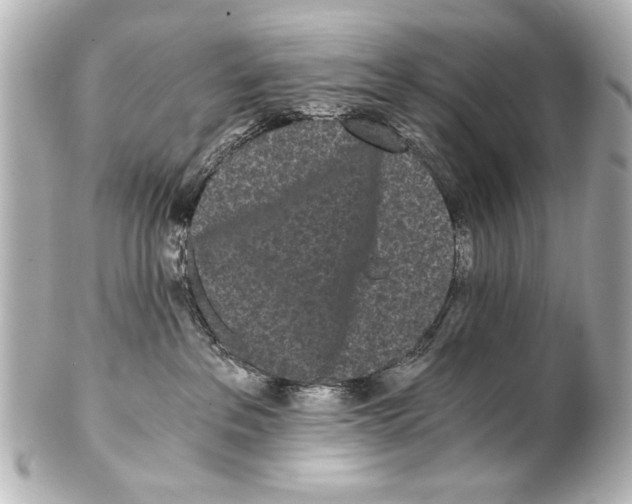 X0000101460237200808041049