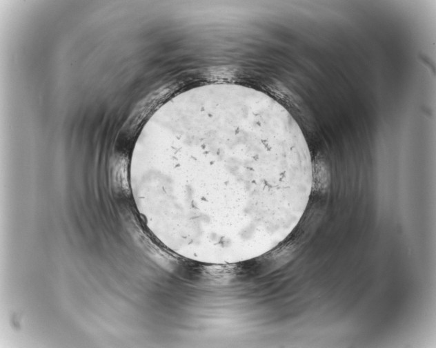 X0000101460238200808041049