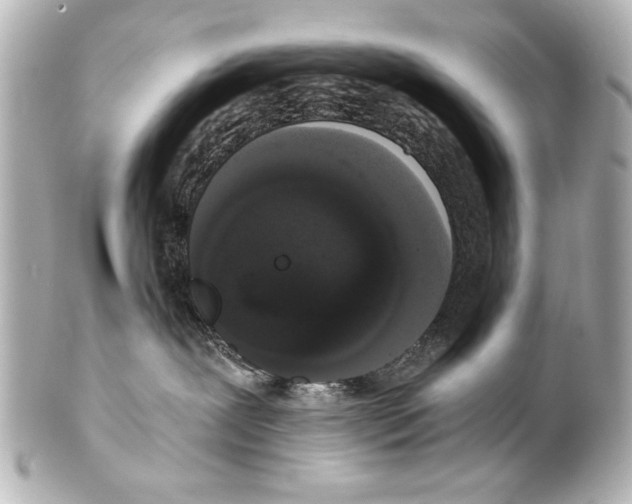 X0000101460239200808041049