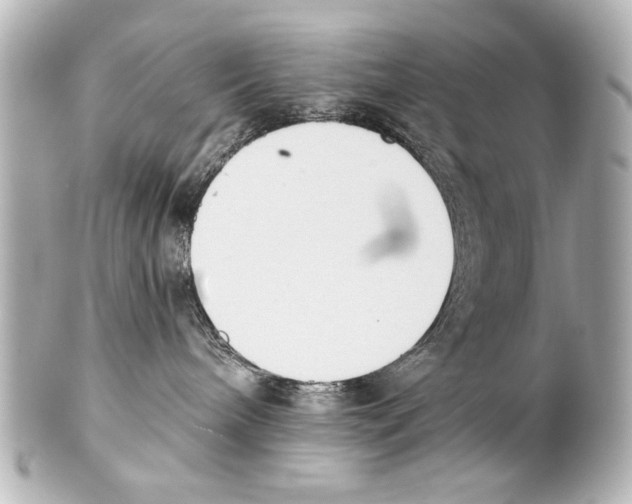 X0000101460240200808041049
