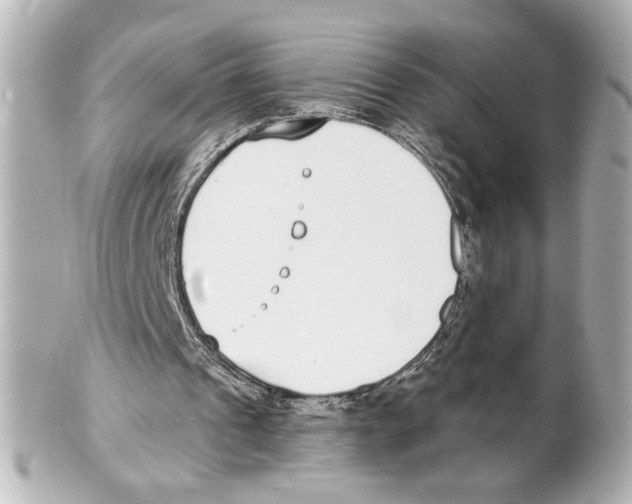 X0000101460241200808041048