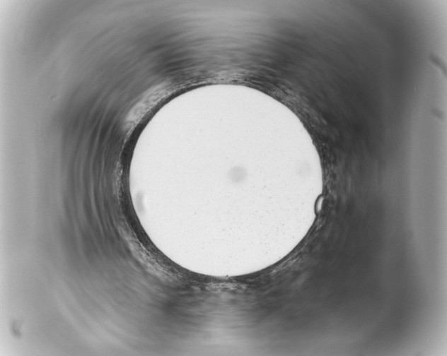 X0000101460242200808041049