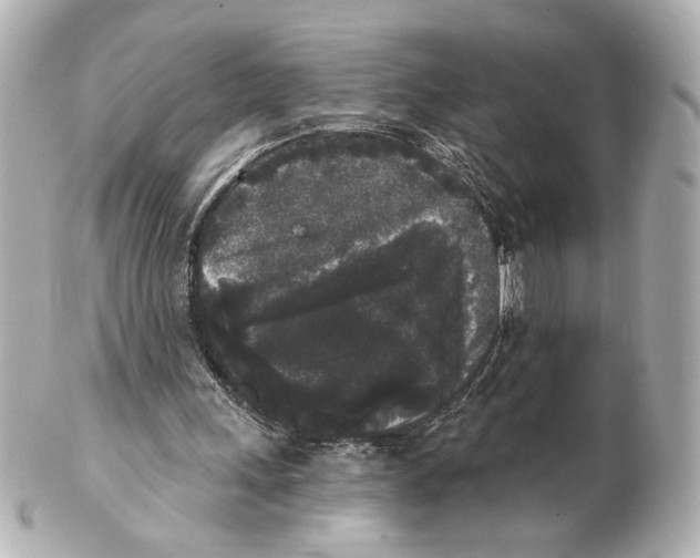 X0000101460243200808041049