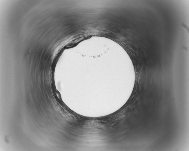 X0000101460244200808041049